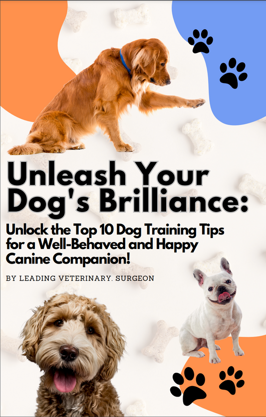 Unleash Your Dog's Brilliance (FREE GIFT)